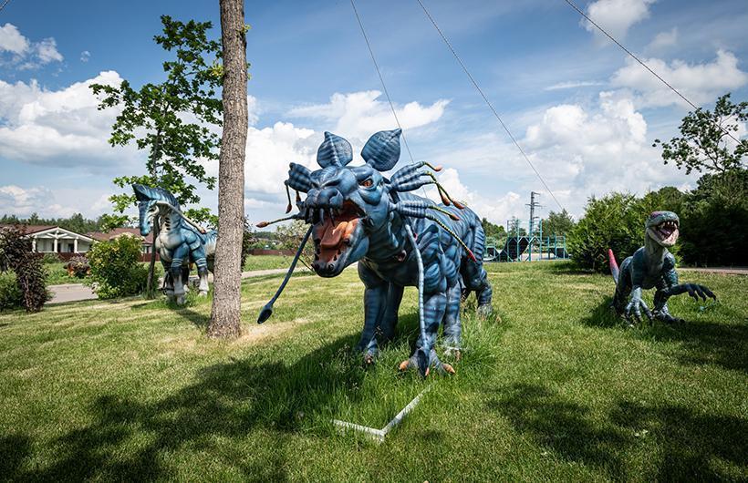 Парки и скверы в поселке Emerald Village