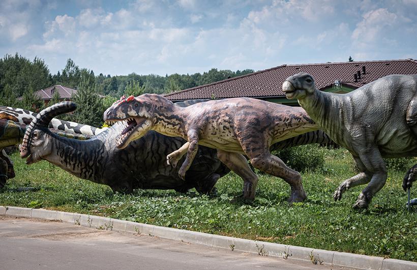 Парки и скверы в поселке Emerald Village