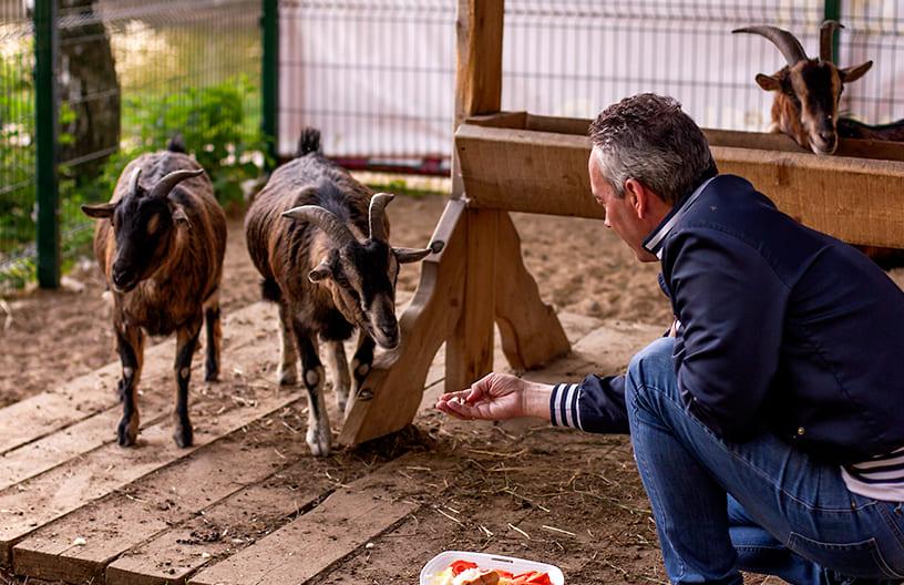 Контактный зоопарк в поселке Emerald Village