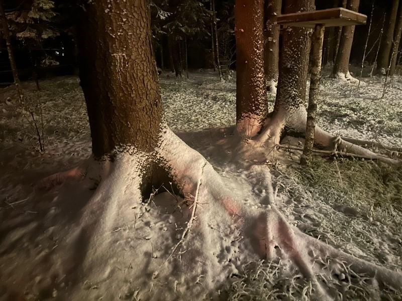 Галлерея поселка Emerald Village