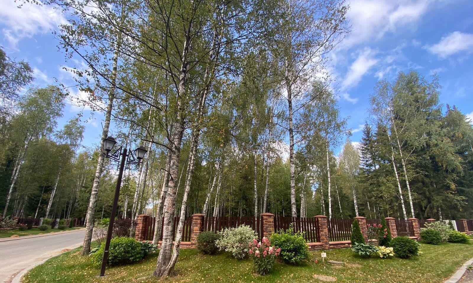 Участки в готовых кварталах в комплектации "Премиум".