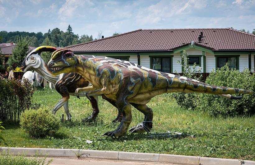 Парки и скверы в поселке Emerald Village