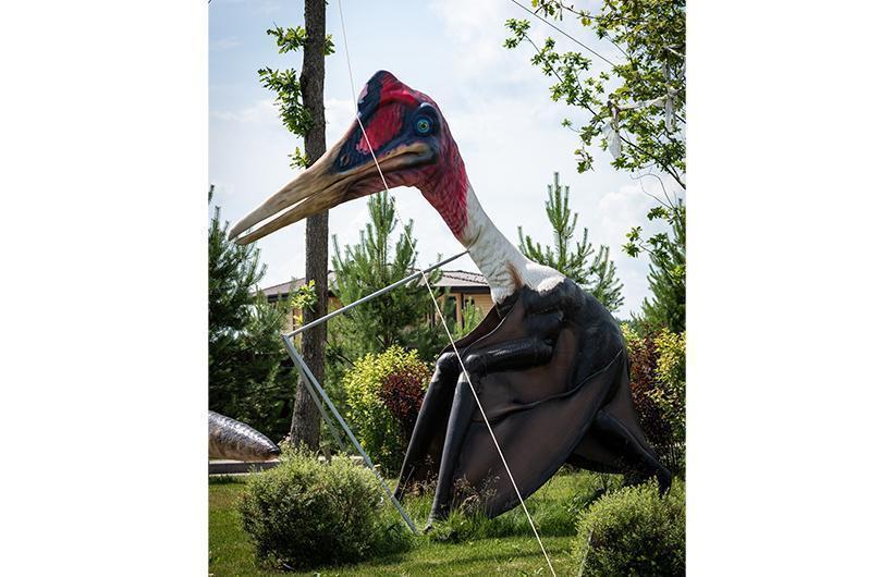 Парки и скверы в поселке Emerald Village