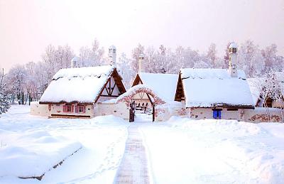 Зимние фотографии поселка Emerald Village