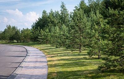 Лесные участки в элитном коттеджном поселке на Новой Риге Эмеральд Вилладж