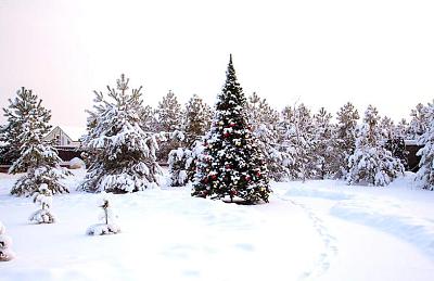 Зимние фотографии поселка Emerald Village