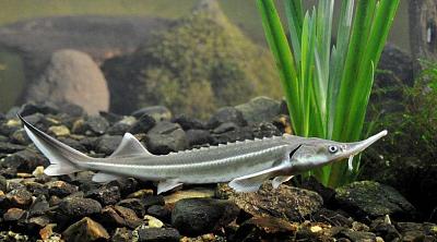 Галлерея поселка Emerald Village